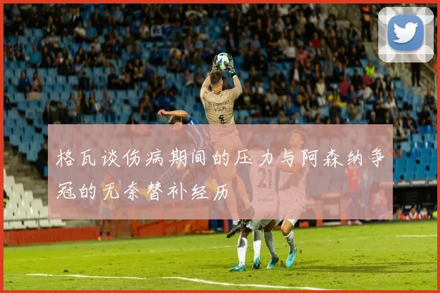 格瓦谈伤病期间的压力与阿森纳争冠的无奈替补经历